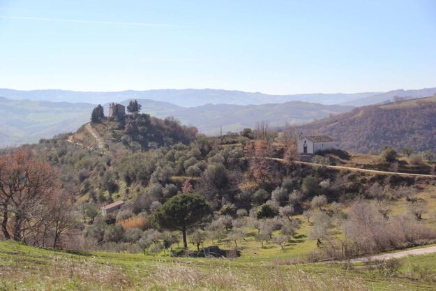 Macchia VAlfortore 1